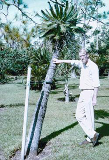Barry Tomlinson with Microcycas calocoma 1965