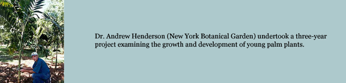 Dr. Andrew Henderson (New York Botanical Garden) undertook a three-year project examining the growth and development of young palm plants.