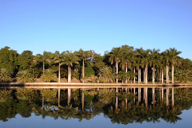 Royal Lake at Montgomery Botanical Center.