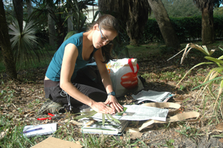 Angela Cano collecting Trithrinax at MBC