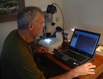 Photo scientist using digital microscopy