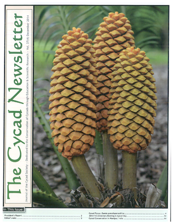The cover of The Cycad Newsletter December 2014