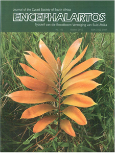 Cover of Encephalartos, October 2010