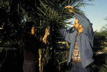 Photo of Dr. Larry Noblick and Dr. Bee Gunn with a palm
