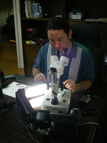 Photo of Dr. Michael Calonje using a microscope