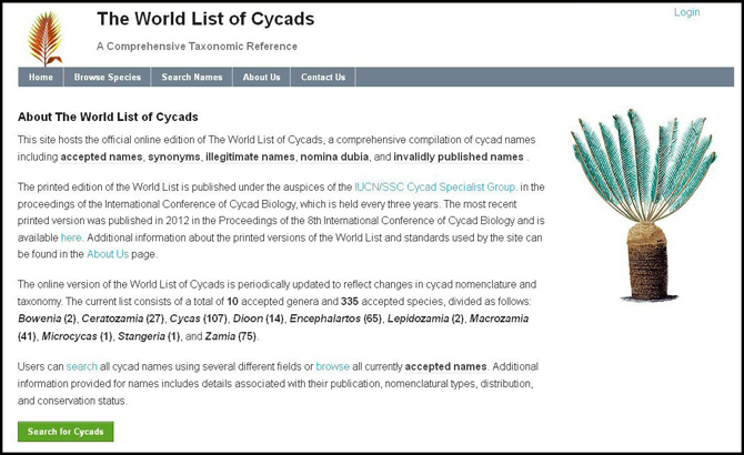 Screenshot of the World List of Cycads Website
