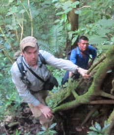 Dr. Patrick Griffith climbs a tree in Belize