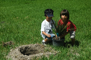 Coral Gables Museum City Trekkers. Kids Planting.