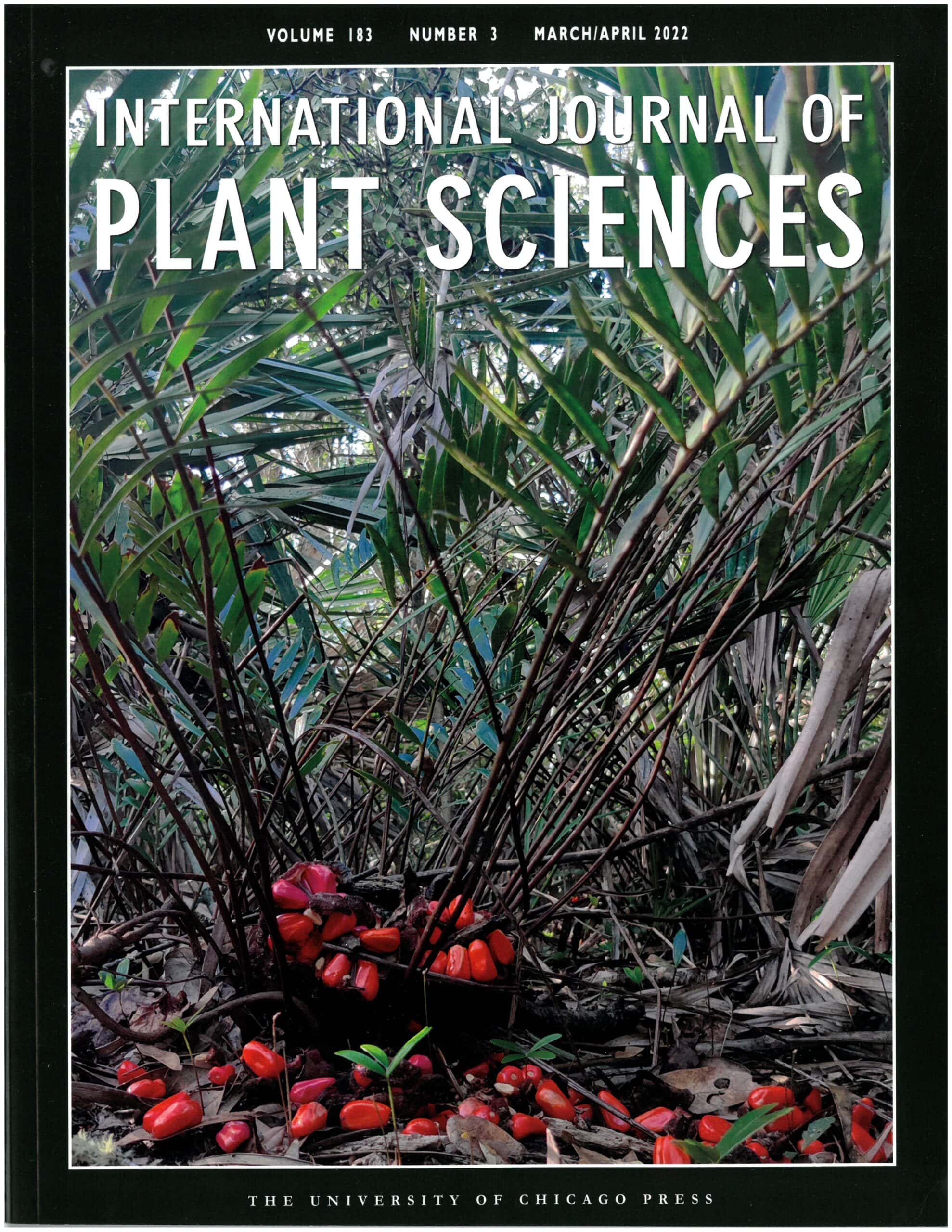 The cover of the March/April 2018 issue of the International Journal of Plant Sciences
