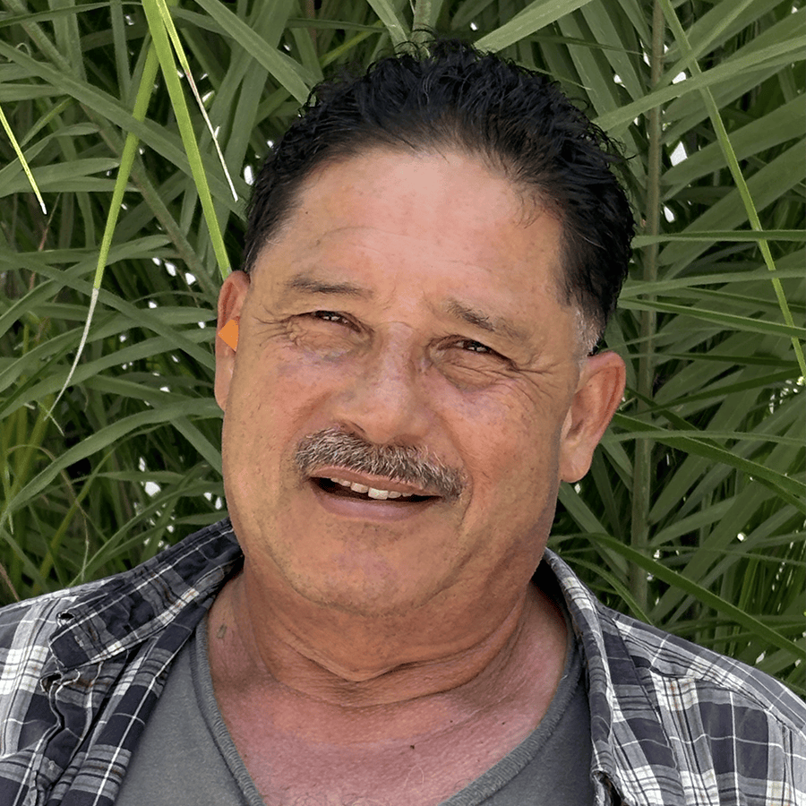 Hostilio Torres