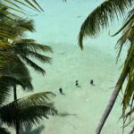 Palmyra Atoll 2024 Palmyra Atoll 2024