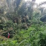 Côte d’Ivoire 2024 Côte d’Ivoire 2024