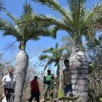 Parque Nacional Jaragua 2017