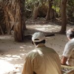 Kingdom of Essaout 2019