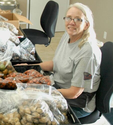 Judy’s efforts resulted in hundreds of thousands of seeds distributed each year, enriching education, beautifying the landscape, and helping to protect many rare palms and cycads.